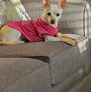 Meet your Posher, Connie